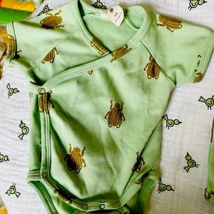 Kate Quinn (,Set beetles print)